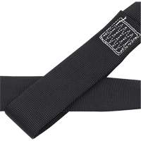 CAS4-4 Ancrage en boucle 4" avec anneau en D, Chaîne, Usage Temporaire Distribution Élite MP