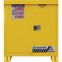 Armoire ext&eacute;rieure pour produits inflammables, 30 gal., 2 Porte(s), 43" La x 44" h x 18" p Distribution Élite MP