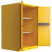 Armoire de s&eacute;curit&eacute; pour produits inflammables Utili-Guard+, 45 gal., 2 Porte(s), 43" La x 65" h x 22" p Distribution Élite MP
