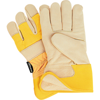 Premium Superior Warmth Fitters Gloves, Large, Grain Cowhide Palm, Thinsulate Inner Lining Distribution Élite MP