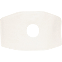 Filtre de rechange North, Filtre contre les particules, Filtre N99 Distribution Élite MP