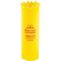 Scie &agrave; cloche bim&eacute;tal 13/16", 13/16", Profondeur de la coupe 2", Bim&eacute;tal Distribution Élite MP