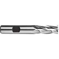 C615 End Mill, 1/4" Dia., 4 Flutes, High Speed Steel Distribution Élite MP