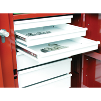 &eacute;tabli roulant, 49-7/8" la x 40-5/8" h x 26-7/8" p, Capacit&eacute; de 24,6 pi³ Distribution Élite MP