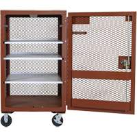 Mobile Mesh Cabinet, Steel, 22 Cubic Feet, Red Distribution Élite MP