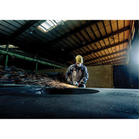 Meuleuse &agrave; angle, 7", 120 V, 8450 Tr/min Distribution Élite MP