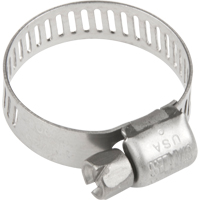 Hose Clamps - Stainless Steel Band & Screw, Min Dia. 0.316, Max Dia. 7/8" Distribution Élite MP