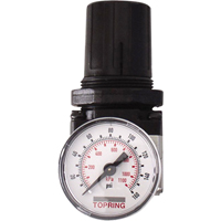 R&eacute;gulateurs, 1/2" NPTF, PSI max. de 150 psi, Modulaire Distribution Élite MP