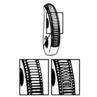 GXL Plate Clamp, 2000 lbs. (1 tons), 1/16" - 3/4" Jaw Opening Distribution Élite MP