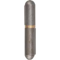 Weld-On Hinge, 0.315" Dia. x 1.575" L, Mild Steel w/Fixed Steel Pin Distribution Élite MP