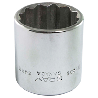 Douille, 13 mm, Prise 1/2", 12 pans Distribution Élite MP