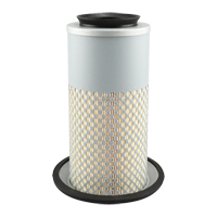 PA3833 &eacute;l&eacute;ment de filtre &agrave; air Distribution Élite MP