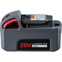 IQV20 High Capacity Battery, Lithium-Ion, 20 V, 5 Ah Distribution Élite MP