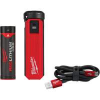 Trousse d'alimentation et de chargeur USB Redlithium, 4 V, Lithium-ion Distribution Élite MP