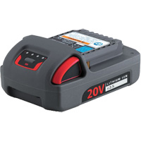 IQV20 Series Battery, Lithium-Ion, 20 V, 2.5 Ah Distribution Élite MP