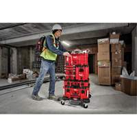 Coffre &agrave; outils compact Packout, 10" x 16-1/5" x 13", Noir/Rouge Distribution Élite MP