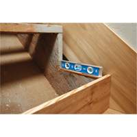 Niveau torpille, 10" lo, Aluminium, 1 fioles, Magn&eacute;tique Distribution Élite MP