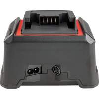 Chargeur de batterie 2,5 Ah et 5,0 Ah, 120 V, Lithium-ion Distribution Élite MP