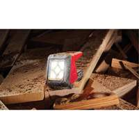 Projecteur d'illumination montable M12 ROVER, DEL, 250 W, 1000 lumens Distribution Élite MP