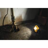 Lampe d'&eacute;clairage direct compact 12V/20V Max, DEL, 2000 Lumens Distribution Élite MP