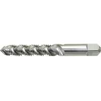 Taraud &agrave; main &agrave; cannelure spiral&eacute;e DRILLCO, Acier rapide, Filet 1/4"-20 Distribution Élite MP