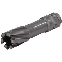 Universal Shank Annular Cutter, 1/2" Diameter, Carbide, 1" Depth of Cut, 3/4" Shank Distribution Élite MP