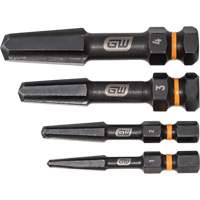 Jeu d'extracteur de vis Bolt Biter, Acier rapide, 4 Morceaux Distribution Élite MP