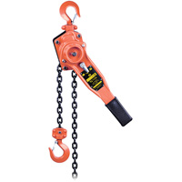 VLP Series Lever Chain Hoist, 10' Lift, 1653.46 lbs. (0.75 tons) Capacity Distribution Élite MP