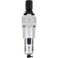 AFRH34 Combinaison filtre &agrave; air et r&eacute;gulateur Distribution Élite MP