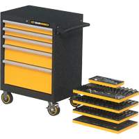 Mechanics Tool Set in Modular Foam Trays with Storage Unit, 247 Pieces Distribution Élite MP