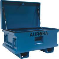 Coffre &agrave; outils de chantier, 33" x 20-3/10" x 18-3/10", Acier, Bleu Distribution Élite MP