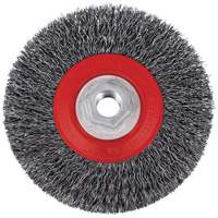 Brosse m&eacute;tallique &agrave; fils torsad&eacute;s &agrave; haut rendement 5C14T, 5" dia., Fils 0,014", Arbre 5/8"-11NC Distribution Élite MP