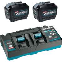 Ensemble de d&eacute;part XGT avec chargeur rapide &agrave; deux ports et deux batteries de 8?Ah, 40 V, Lithium-ion Distribution Élite MP