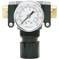 D&eacute;tendeur &agrave; piston en ac&eacute;tal MODULAIR 200, 1/4" NPT, PSI max. de 150 psi, Canalisation/Modulaire Distribution Élite MP
