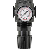 D&eacute;tendeur &agrave; diaphragme en zinc MODULAIR 300, 3/8" NPT, PSI max. de 300 psi, Canalisation/Modulaire Distribution Élite MP