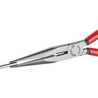 Long Nose Pliers with Cutter, 8" L Distribution Élite MP