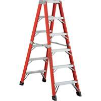 6600 AA Series Industrial Extra Heavy-Duty 2-Way Stepladders, Fibreglass, 375 lbs. Capacity, 4' Distribution Élite MP