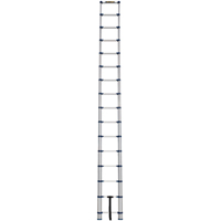 Telescopic Ladder, 3' - 15.5', Aluminum, 250 lbs. Capacity, Type 1 Distribution Élite MP