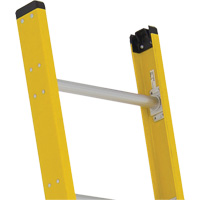 Industrial Extra Heavy-Duty Straight Ladders (5600 Series), 8', Fibreglass, 375 lbs., CSA Grade 1AA Distribution Élite MP