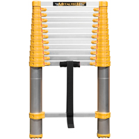 Contractor and Utility Ladders
