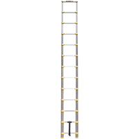 Telescopic Ladder, 3' - 12', Aluminum, 250 lbs. Capacity, Type 1 Distribution Élite MP