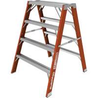 Buildman Step-up Workbench, 4' H x 36.25" W x 40.5" D, 300 lbs. Capacity, Fibreglass Distribution Élite MP