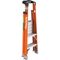 Escabeau avec plateforme Safespace, 2', Cap. De 300 lb Distribution Élite MP