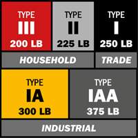 Escabeau avec plateau &agrave; peinture, 10', Aluminium, Capacit&eacute; 225 lb, Type 2 Distribution Élite MP
