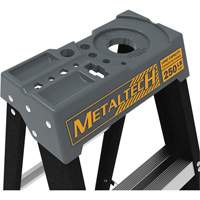 Escabeau avec plateau &agrave; peinture, 10', Fibre de verre, Capacit&eacute; 250 lb, Type 1 Distribution Élite MP