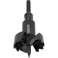 Self-Feed Bit, 3" Distribution Élite MP