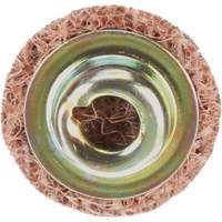 Standard Abrasives Quick-Change Surface Conditioning Disc, 3/4" Dia., Coarse Grit, Aluminum Oxide Distribution Élite MP