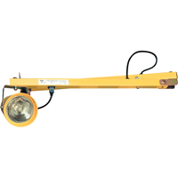 Lampes pour les quais, Bras 60", Ampoule Incandescente, M&eacute;tal Distribution Élite MP
