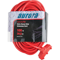 Cordon rallonge en vinyle, Ext&eacute;rieur, SJTW, AWG 12/3, 15 A, 3 prise(s), 100' Distribution Élite MP