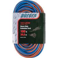 TPE-Rubber Extension Cord With Light Indicator, All-Weather, SJEOW, 14/3 AWG, 13 A, 100' Distribution Élite MP